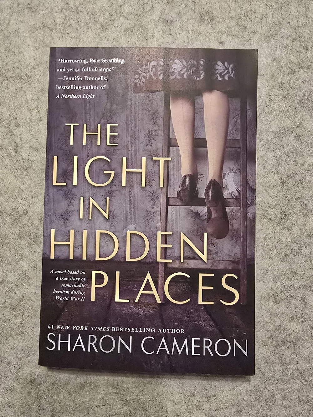 The Light in Hidden Places By Sharon Cameron Paoerback